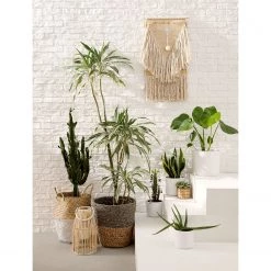 Eva Padberg Collection Lanterne Flint (2 éléments) - Bambou massif 10 Eva Padberg Collection Lanterne Flint (2 éléments) - Bambou massif -Pas Cher Décoration Magasin 1000026548 190603 10325400002 MOOD GALLERYIMAGES P000000001000026548 mood