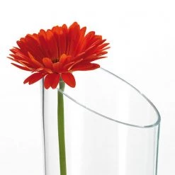 Vase Dynamic - Verre - Transparent - Hauteur : 40 cm -Pas Cher Décoration Magasin 1000134571 181004 08163502 GALLERYIMAGES P000000001000134571