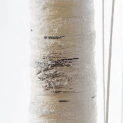 My Flair Arbres décoratifs saule I - Saule - Marron -Pas Cher Décoration Magasin 1000140813 181114 07423899 GALLERYIMAGES P000000001000140813