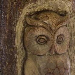 My Flair Décoration chouette sculptée - Résine synthétique - Beige -Pas Cher Décoration Magasin 1000140841 181114 074255210 GALLERYIMAGES P000000001000140841