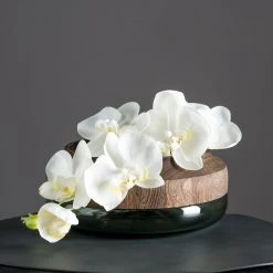 Leonardo Vase Colletto II - Verre / Paulownia massif - Vert / Marron 6 Leonardo Vase Colletto II - Verre / Paulownia massif - Vert / Marron -Pas Cher Décoration Magasin 1000143867 181113 08195625 GALLERYIMAGES P000000001000143867