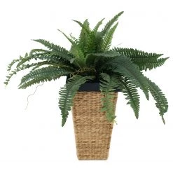 Flechtwaren Müller Pot de fleur Clovelly II - Jacinthe d’eau - Marron clair - 28 x 50 cm 5 Flechtwaren Müller Pot de fleur Clovelly II - Jacinthe d’eau - Marron clair - 28 x 50 cm -Pas Cher Décoration Magasin 1000145304 181123 17113300108 GALLERYIMAGES P000000001000145304