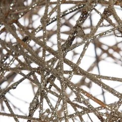 My Flair Boule de Noël lumineuse Olinda - Rotin - Champagne 6 My Flair Boule de Noël lumineuse Olinda - Rotin - Champagne -Pas Cher Décoration Magasin 1000147778 181130 16161200095 GALLERYIMAGES P000000001000147778