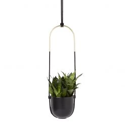 Umbra Suspension plante Bolo - Fer / Coton / Céramique - Noir