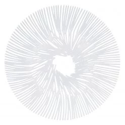 Koziol Coupe Anemone - Matière plastique - Blanc