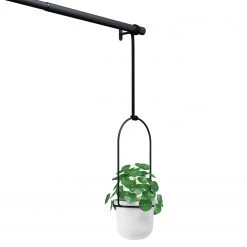 Umbra Pots de fleur suspendus Triflora - Mélamine / Fer / Fil métallique - Blanc / Noir 14 Umbra Pots de fleur suspendus Triflora - Mélamine / Fer / Fil métallique - Blanc / Noir -Pas Cher Décoration Magasin 1000219045 200727 17331500092 DETAILS P000000001000219045