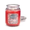 Candle-Lite Company Bougie parfumée Apple Picking - 510 Gramm