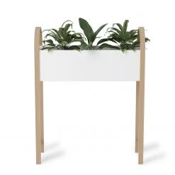 Umbra Jardinière Grove - Frêne massiv / Polyrésine - Multicolore -Pas Cher Décoration Magasin 1000219208 200728 09534900024 DETAILS P000000001000219208