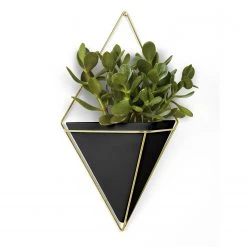 Umbra Vase mural Trigg - Noir / Laiton -Pas Cher Décoration Magasin 1000220485 200817 10394000028 DETAILS P000000001000220485