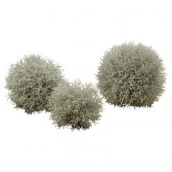 Boltze Plante artificielle Herbes - Matière plastique - Vert sauge