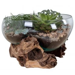 Twentyfour Objet décoratif San Marino VI - Teck / Verre cristallin - Marron