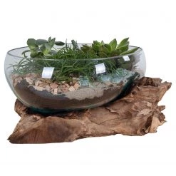 Twentyfour Objet décoratif San Marino VI - Teck / Verre cristallin - Marron 7 Twentyfour Objet décoratif San Marino VI - Teck / Verre cristallin - Marron -Pas Cher Décoration Magasin 1000253645 210319 11463400045 DETAILS P000000001000253645