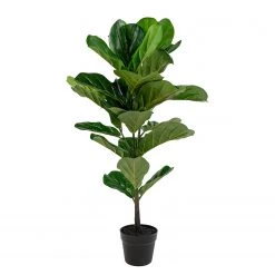 Twentyfour Plante artificielle Fiddle I - Matière plastique - Vert