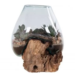 Twentyfour Objet décoratif San Marino II - Teck / Verre cristallin - Marron 13 Twentyfour Objet décoratif San Marino II - Teck / Verre cristallin - Marron -Pas Cher Décoration Magasin 1000253675 210319 11463800186 DETAILS P000000001000253675