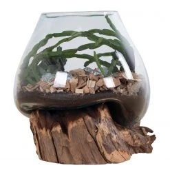 Twentyfour Objet décoratif San Marino II - Teck / Verre cristallin - Marron 16 Twentyfour Objet décoratif San Marino II - Teck / Verre cristallin - Marron -Pas Cher Décoration Magasin 1000253675 210319 11463800189 DETAILS P000000001000253675