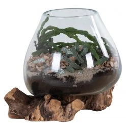 Twentyfour Objet décoratif San Marino II - Teck / Verre cristallin - Marron 17 Twentyfour Objet décoratif San Marino II - Teck / Verre cristallin - Marron -Pas Cher Décoration Magasin 1000253675 210319 11463800190 DETAILS P000000001000253675