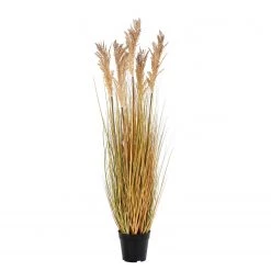 Twentyfour Plante artificielle Sorghum - Matière plastique - Beige