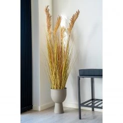Twentyfour Plante artificielle Sorghum - Matière plastique - Beige -Pas Cher Décoration Magasin 1000253679 220131 083239000020 MOOD DETAILS P000000001000253679 mood