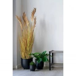 Twentyfour Plante artificielle Sorghum - Matière plastique - Beige -Pas Cher Décoration Magasin 1000253679 220131 08341200021 MOOD DETAILS P000000001000253679 mood