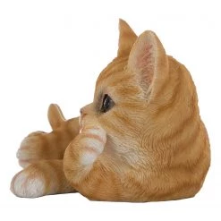 My Flair Figurine Chat Gizmo - Résine artificielle / Polyrésine - Naturel -Pas Cher Décoration Magasin 1000265733 210520 16220400512 DETAILS P000000001000265733