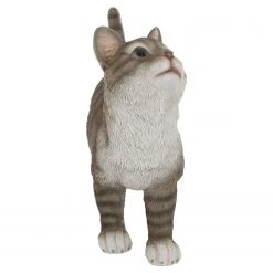 My Flair Figurine Chat Liala - Résine artificielle / Polyrésine - Naturel -Pas Cher Décoration Magasin 1000265769 210520 16221000644 DETAILS P000000001000265769