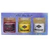 Candle-Brothers Bougies parfumées Best (lot de 3) - Mélange de cire de soja - Multicolore