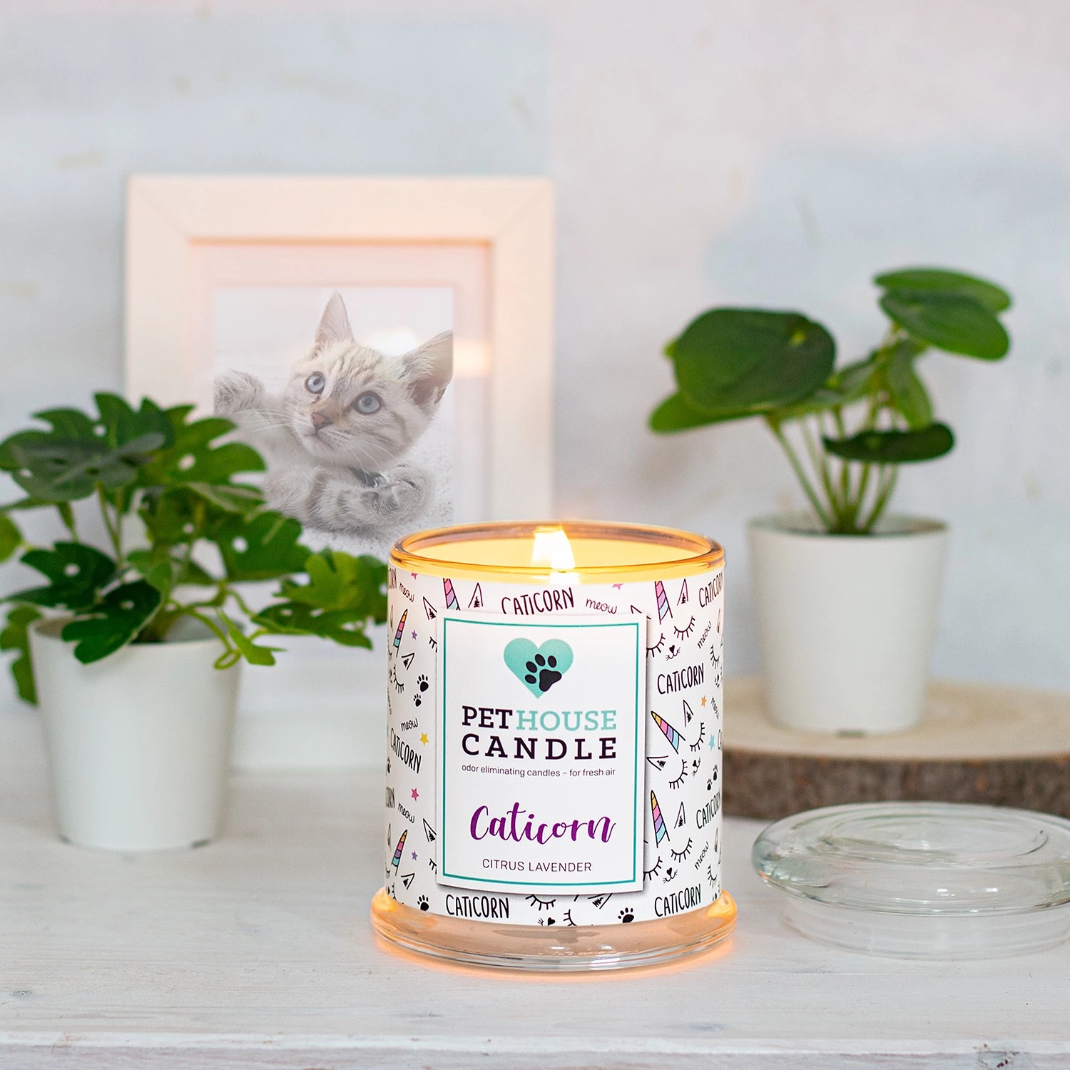 PetHouse Candle Bougie parfumée Citrus & Lavender - Mélange de cire de soja - Blanc 3 PetHouse Candle Bougie parfumée Citrus & Lavender - Mélange de cire de soja - Blanc – Image 3