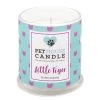 PetHouse Candle Bougie parfumée Pet House Blood Orange - Mélange de cire de soja - Turquoise