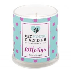 PetHouse Candle Bougie parfumée Pet House Blood Orange - Mélange de cire de soja - Turquoise