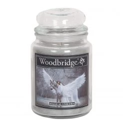 Woodbridge Candle Bougie parfumée Magical Unicorn - Cire de paraffine - Gris - 565 g