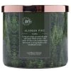 Colonial Candle Bougie parfumée Alaskan Pine - Mélange de cire de soja - Vert - 411 g