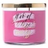 Colonial Candle Bougie parfumée Good Vibes Only - Mélange de cire de soja - Rose - 411 g