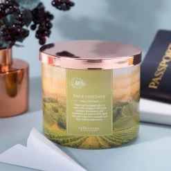 Colonial Candle Bougie parfumée Napa Vineyard - Mélange de cire de soja - Vert - 411 g -Pas Cher Décoration Magasin 1000271677 210625 16504000455 MOOD DETAILS P000000001000271677 mood