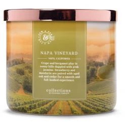 Colonial Candle Bougie parfumée Napa Vineyard - Mélange de cire de soja - Vert - 411 g