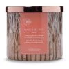 Colonial Candle Bougie parfumée Maui Tiki Hut - Mélange de cire de soja - Marron - 411 g