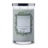 Colonial Candle Bougie parfumée Eucalyptus Mint - Mélange de cire de soja - Gris - 538 g