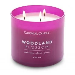 Colonial Candle Bougie parfumée Woodland Blossom - Mélange de cire de soja - Violet - 411 g -Pas Cher Décoration Magasin 1000271694 210625 16524900573 DETAILS P000000001000271694