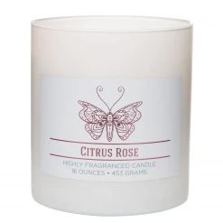Colonial Candle Bougie parfumée Citrus Rose - Mélange de cire de soja - Blanc - 425 g 5 Colonial Candle Bougie parfumée Citrus Rose - Mélange de cire de soja - Blanc - 425 g -Pas Cher Décoration Magasin 1000271707 210625 16501700420 DETAILS P000000001000271707