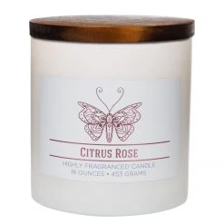 Colonial Candle Bougie parfumée Citrus Rose - Mélange de cire de soja - Blanc - 425 g