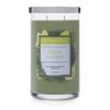 Colonial Candle Bougie parfumée Cedar & Citrus - Mélange de cire de soja - Vert - 538 g