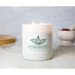 Colonial Candle Bougie parfumée Soothing Eucalyptus - Mélange de cire de soja - Blanc - 453 g 5 Colonial Candle Bougie parfumée Soothing Eucalyptus - Mélange de cire de soja - Blanc - 453 g -Pas Cher Décoration Magasin 1000271740 210625 16521300577 MOOD DETAILS P000000001000271740 mood