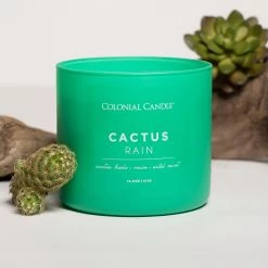 Colonial Candle Bougie parfumée Cactus Rain - Mélange de cire de soja - Vert - 411 g -Pas Cher Décoration Magasin 1000271748 210625 16512100516 MOOD DETAILS P000000001000271748 mood