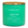 Colonial Candle Bougie parfumée Cactus Rain - Mélange de cire de soja - Vert - 411 g