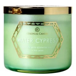 Colonial Candle Bougie parfumée Water Cypress - Mélange de cire de soja - Vert - 411 g