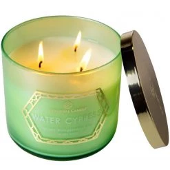 Colonial Candle Bougie parfumée Water Cypress - Mélange de cire de soja - Vert - 411 g -Pas Cher Décoration Magasin 1000271749 210625 16520100509 DETAILS P000000001000271749