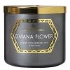Colonial Candle Bougie parfumée Davana Flow - Mélange de cire de soja - Noir - 411 g