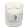 Colonial Candle Bougie parfumée Bamboo Lotus - Mélange de cire de soja - Blanc - 453 g