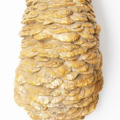 Kare Design Décoration murale Ostrich - Doré - Pierre -Pas Cher Décoration Magasin 1000277539 210707 09472700099 DETAILS P000000001000277539