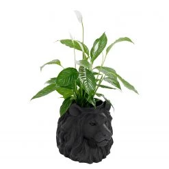 Kare Design Cache-pot déco Lion II - Noir - Matière plastique -Pas Cher Décoration Magasin 1000277546 210707 09475500126 DETAILS P000000001000277546