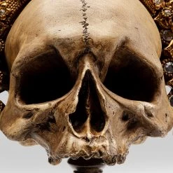 Kare Design Objet déco King Skull - Doré - Pierre 20 Kare Design Objet déco King Skull - Doré - Pierre -Pas Cher Décoration Magasin 1000277547 210707 09484500174 DETAILS P000000001000277547
